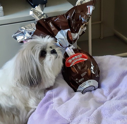 Dog Park «Mt. Airy Dog Park», reviews and photos, 3006 Westwood Northern Blvd, Cincinnati, OH 45211, USA