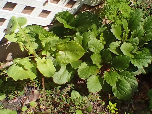 Day Care Center «Audrey Johnson Day Care Center», reviews and photos, 272 Moffat St, Brooklyn, NY 11207, USA