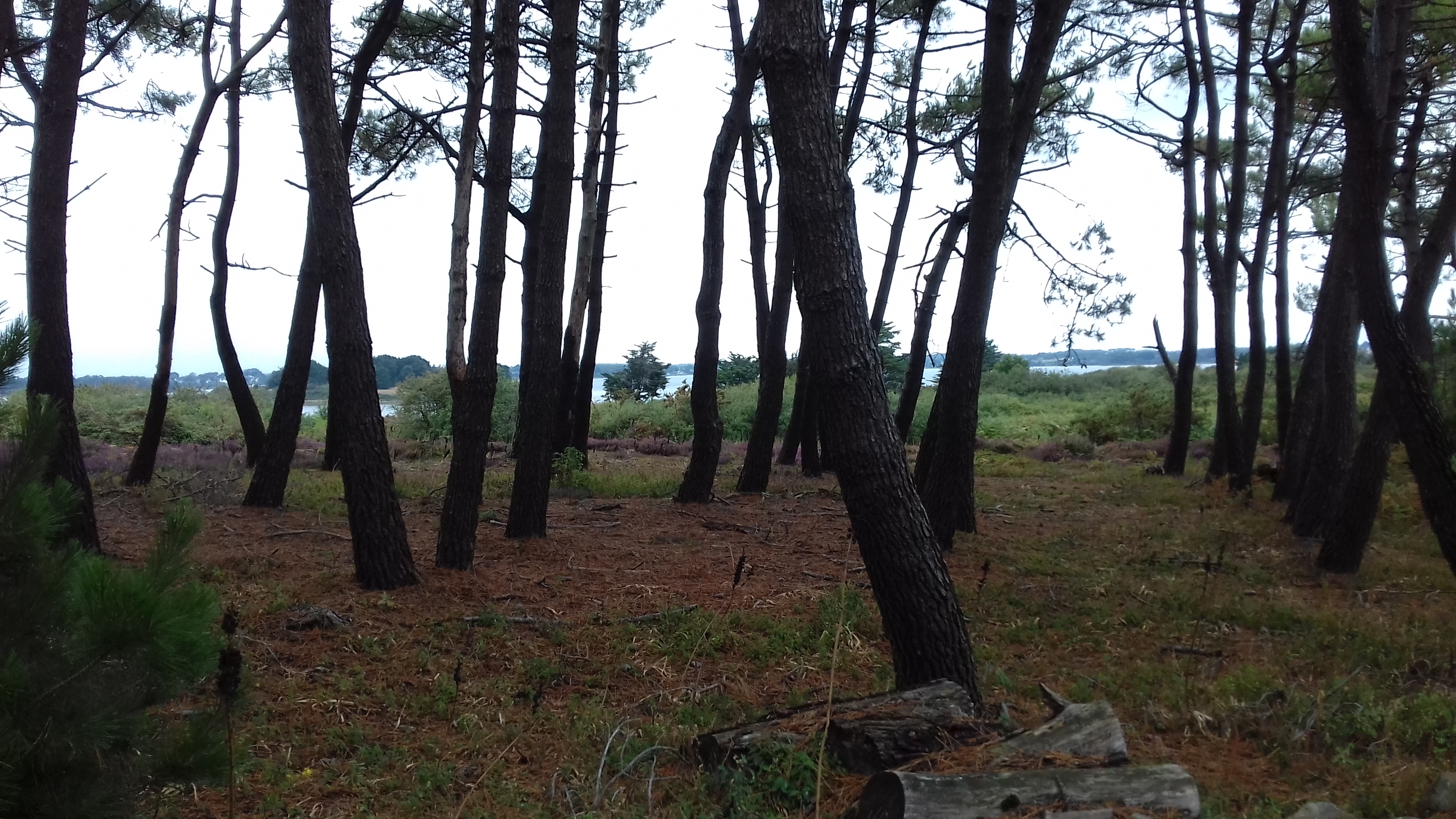 Photo n° 4 de l'avis de Jean.U fait le 08/08/2019 à 17:45