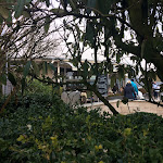 Photo n°3 de l'avis de Nina.u fait le 04/02/2017 à 16:46 sur le  AlsterCliff à Hamburg