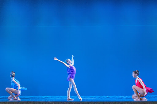 Performing Arts Theater «River Raisin Centre for the Arts», reviews and photos, 114 S Monroe St, Monroe, MI 48161, USA