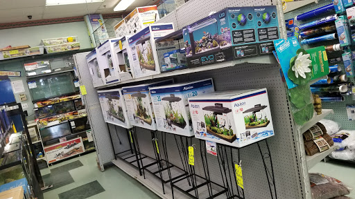 Pet Store «Petland Discounts - LI City», reviews and photos, 34-60 48th Ave, Queens, NY 11101, USA