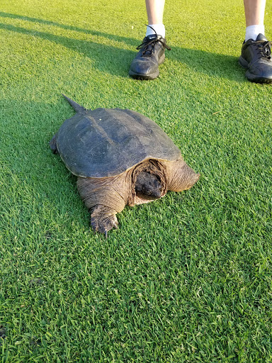 Golf Club «Bartlett Hills Golf Club», reviews and photos, 800 W Oneida Ave, Bartlett, IL 60103, USA