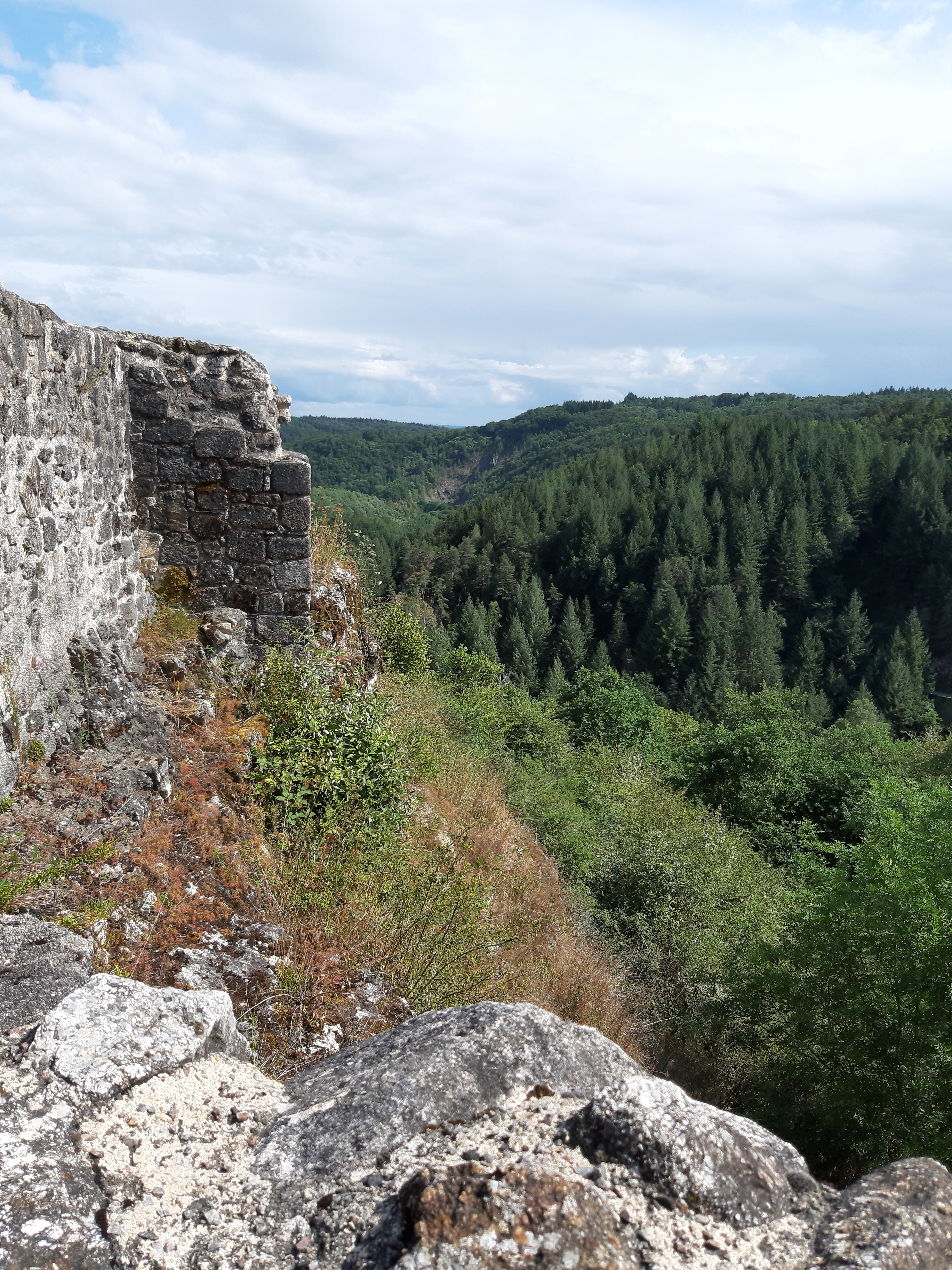Photo n° 2 de l'avis de Niki.a fait le 12/08/2019 à 16:11