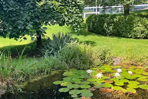 EMBL Pond image