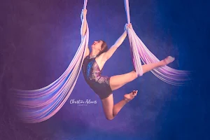 The Lofty Life Aerial Dance, LLC. image