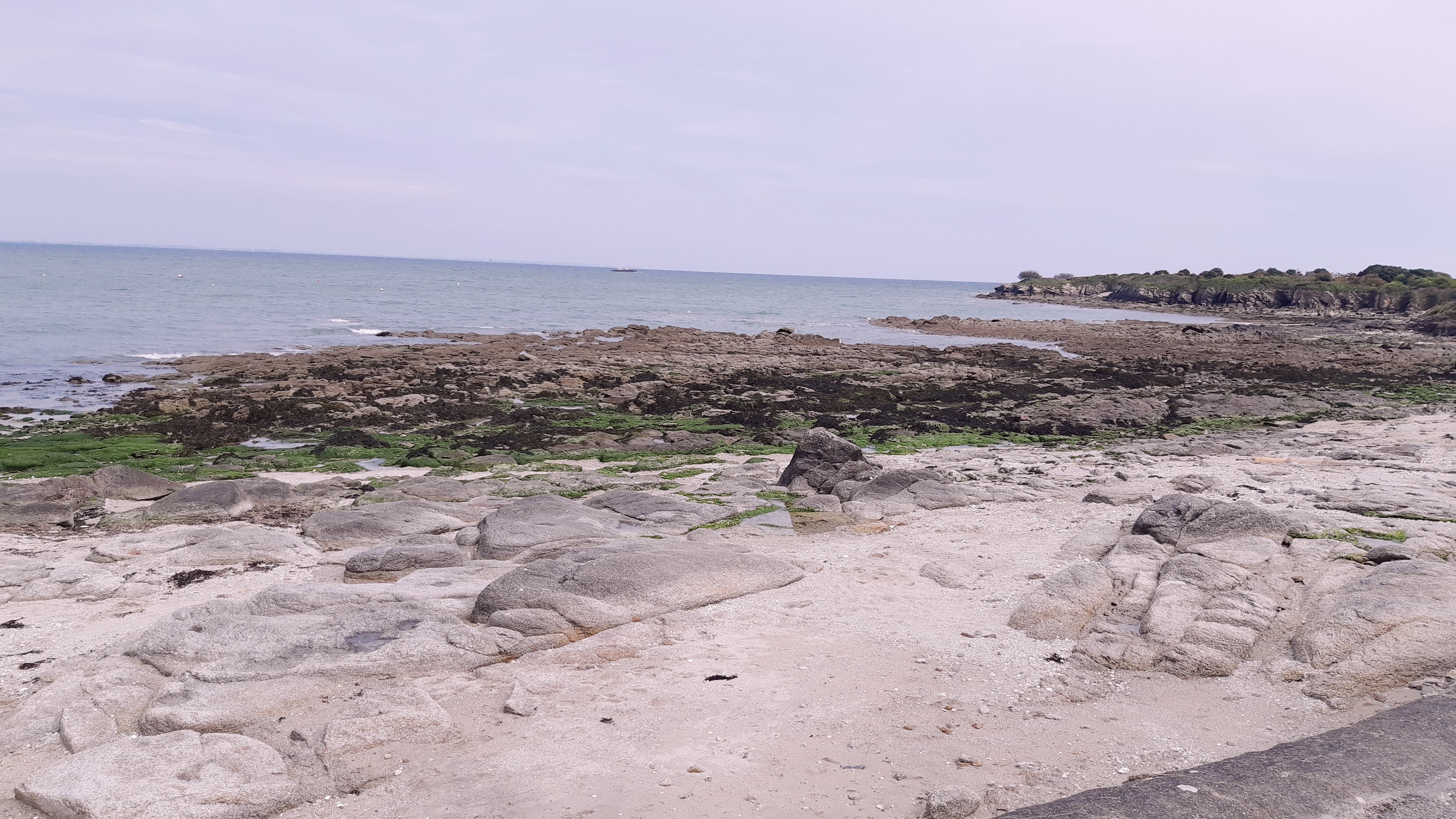 Photo n° 1 de l'avis de Mathieu.. fait le 21/04/2019 à 09:09