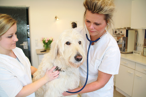 Dr. med. Vet. Susanne Kozik unter Bielefeld, 