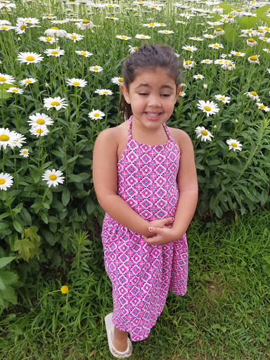 Banquet Hall «Arrowhead Golf Club & Banquet Center», reviews and photos, 1500 Rogwin Cir SW, North Canton, OH 44720, USA