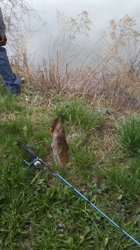 Public Golf Course «Buttonwood Golf Course», reviews and photos, 600 Trimmer Rd, Spencerport, NY 14559, USA