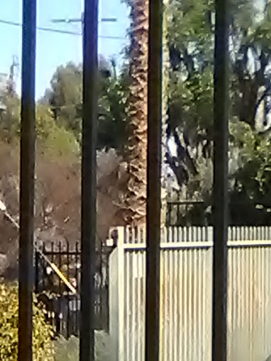 Cell Phone Store «AT&T Authorized Retailer», reviews and photos, 23639 Calabasas Rd, Calabasas, CA 91302, USA