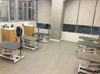 Petco - Photo 4 - Car repair in Rego Park, NY, New York