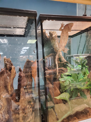 Pet Store «Zookeeper Exotics», reviews and photos, 9012 Research Blvd, Austin, TX 78758, USA