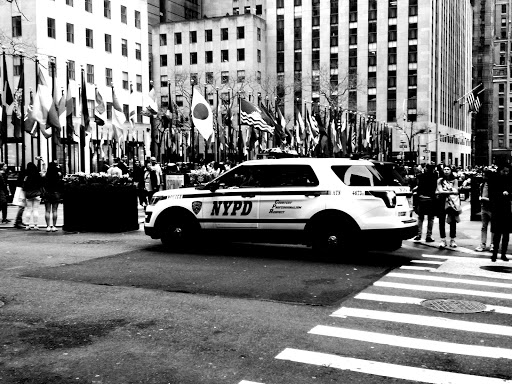 Community Center «Manhattanville Community Center», reviews and photos, 530 W 133rd St, New York, NY 10027, USA