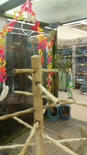 Pet Supply Store «Petco Animal Supplies», reviews and photos, 7223 Coastal Blvd, Brooksville, FL 34613, USA