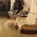 Photo n°1 de l'avis de Pasqualina.l fait le 02/05/2021 à 17:54 sur le  Terra della Lanterna à Cetona