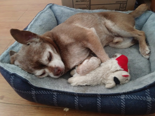 Supermarket «Stater Bros. Markets», reviews and photos, 8770 Base Line Rd, Alta Loma, CA 91701, USA