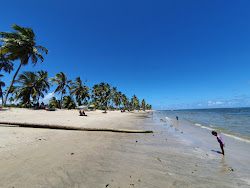 Photo de Praia do Gravata avec un niveau de propreté de très propre