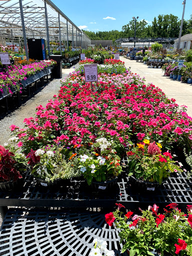 Garden Center «Stauffers of Kissel Hill Home & Garden Store», reviews and photos, 4450 Lincoln Hwy, York, PA 17406, USA