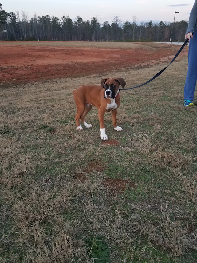 Park «Denny Dobbs Park», reviews and photos, 6244 GA-212, Covington, GA 30016, USA