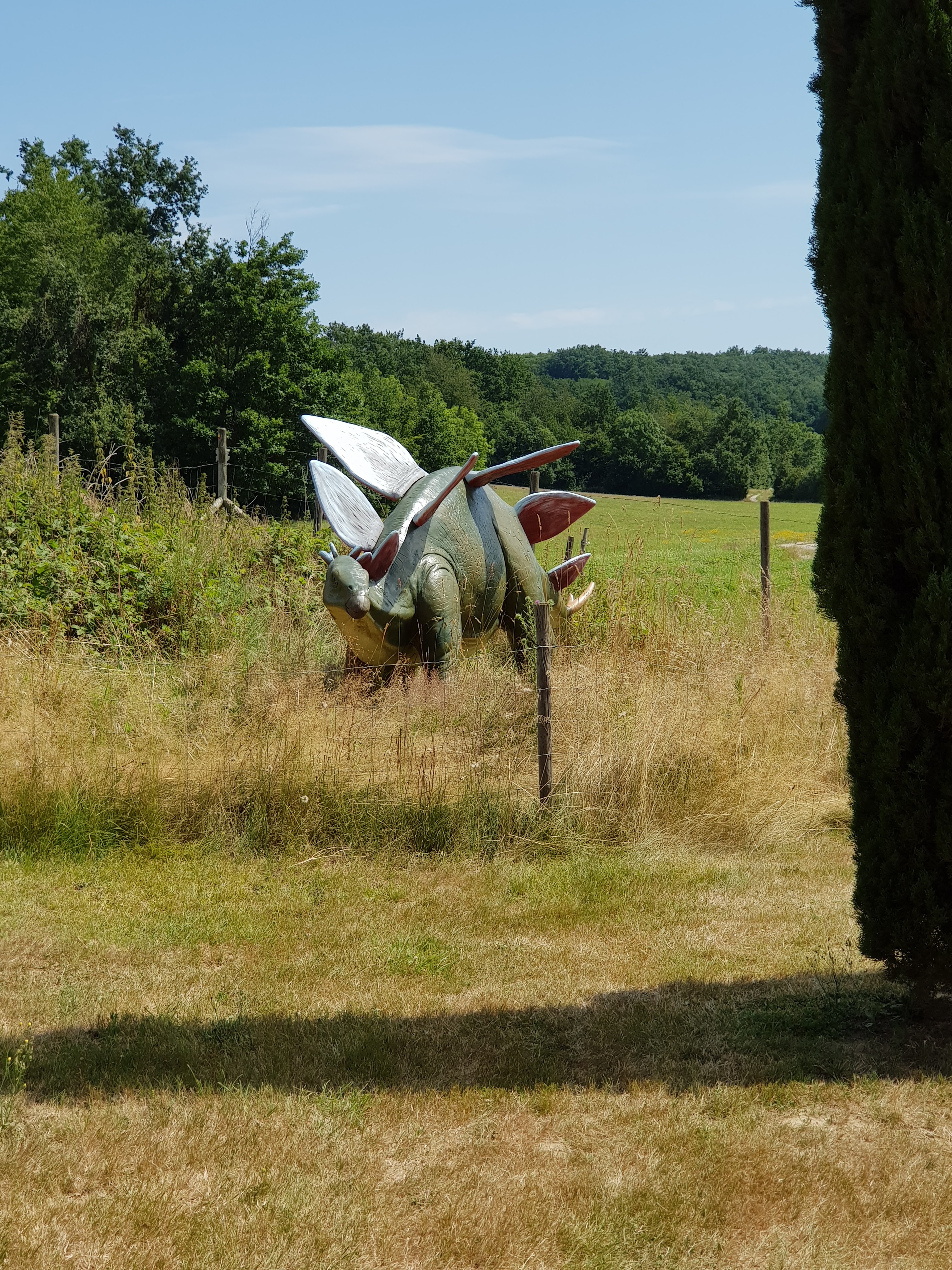 Photo n° 2 de l'avis de Claire.a fait le 10/07/2020 à 13:24