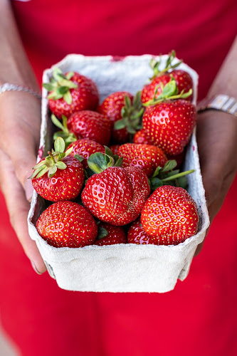 Kommentarer og anmeldelser af Brammers Menuer