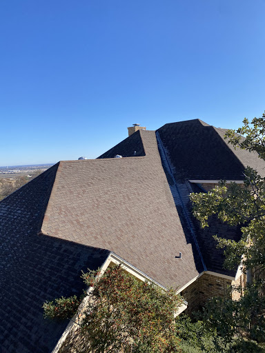 Austin Tree Service 4