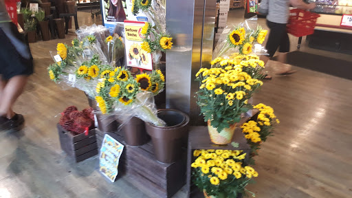 Shopping Mall «Plymouth Square Shopping Center», reviews and photos, 200 Ridge Pike, Conshohocken, PA 19428, USA