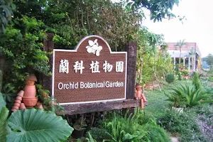 蘭科植物園 image