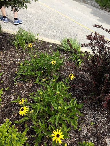 Tourist Attraction «Heigold House Facade», reviews and photos, 332-402 Frankfort Ave, Louisville, KY 40206, USA