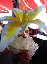 Crème glacée du Restaurant La Nouvelle Terrasse à Saint-Cyprien - n°3