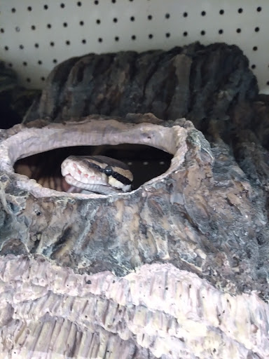 Pet Supply Store «PetSmart», reviews and photos, 1945 Pavilion Way, Lexington, KY 40509, USA