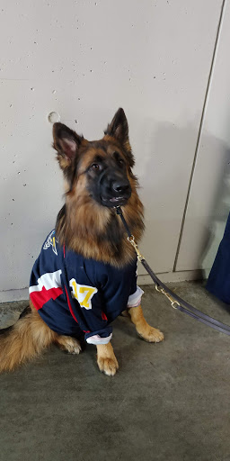 Convention Center «MassMutual Center», reviews and photos, 1277 Main St, Springfield, MA 01103, USA