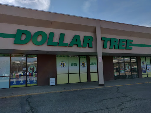 Dollar Store «Dollar Tree», reviews and photos, 8928 MN-7, St Louis Park, MN 55426, USA