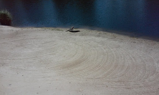 Golf Club «SANDRIDGE GOLF CLUB», reviews and photos, 5300 73rd St, Vero Beach, FL 32967, USA