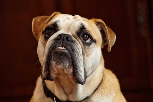 Personal Injury Attorney «Law Office of Kenneth E. Berger, LLC», reviews and photos