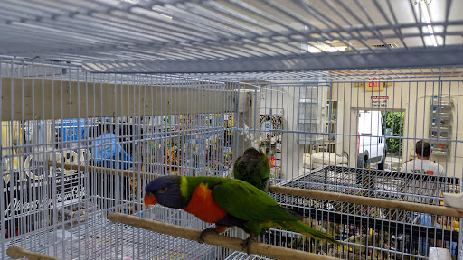 Pet Supply Store «Neighborhood Pet Shop», reviews and photos, 574 Hialeah Dr, Hialeah, FL 33010, USA