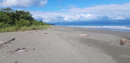 Playa Platanares
