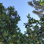 Photo n°7 de l'avis de tommaso.c fait le 03/11/2022 à 09:22 sur le  Villa Poseidon - Boutique Hotel & Events - à Salerno