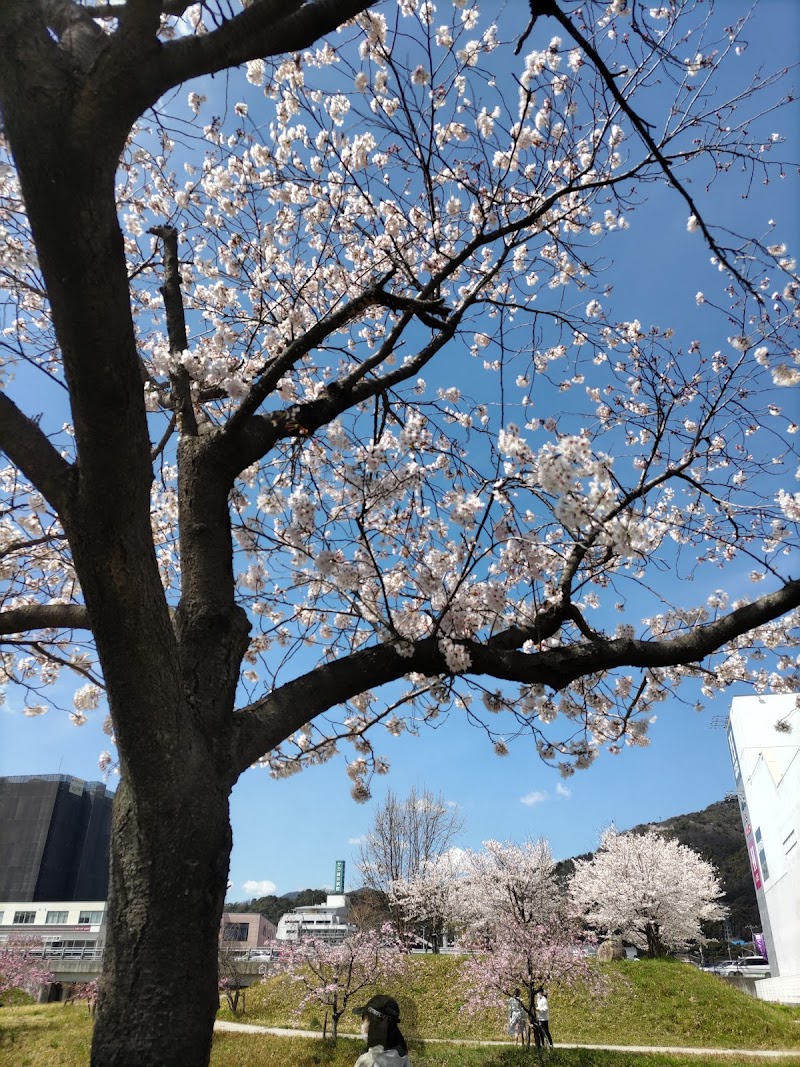 川内第一公園