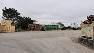 SCEA Renaudineau Freres à Machecoul-Saint-Même