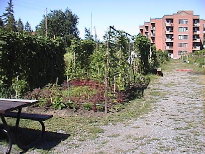 Babylone community garden