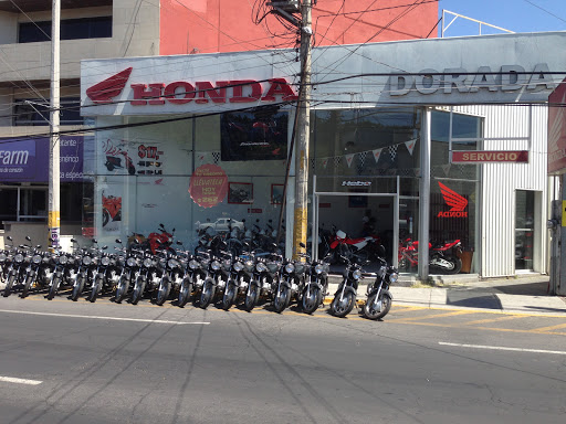 Honda Dorada Motos