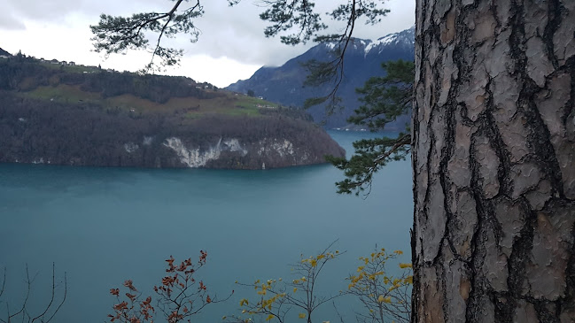 Fitnesscenter Swiss Gym - Schwyz