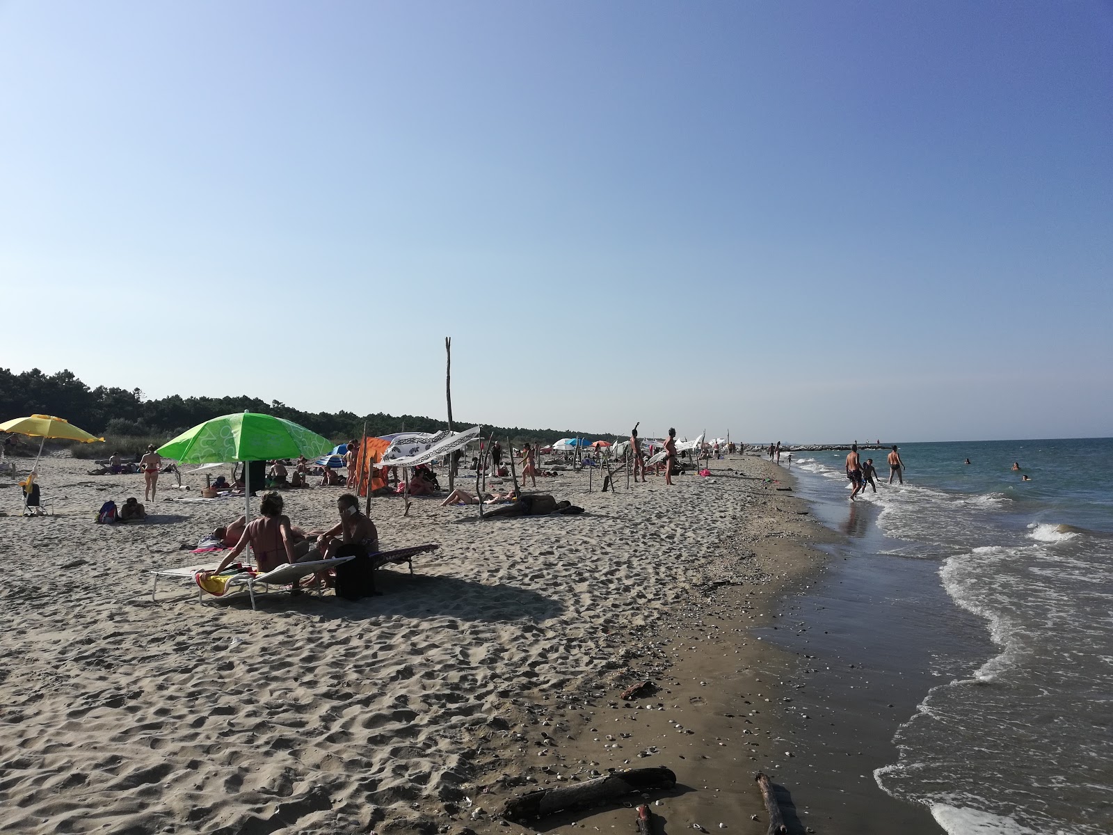 Photo of Lido di Classe II with partly clean level of cleanliness