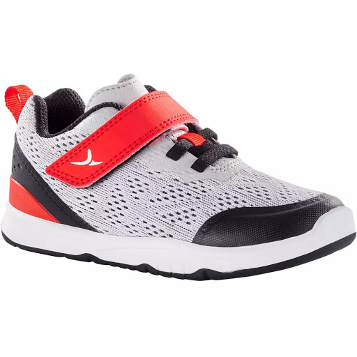 Tiendas Para Comprar Palma De De Mi, Abren Hoy