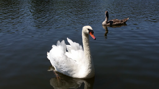 Performing Arts Theater «Prairie Center For the Arts», reviews and photos, 201 Schaumburg Ct, Schaumburg, IL 60193, USA