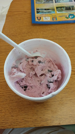 Ice Cream Shop «Rodeo Whip», reviews and photos, 1250 S Woodland Blvd, DeLand, FL 32720, USA