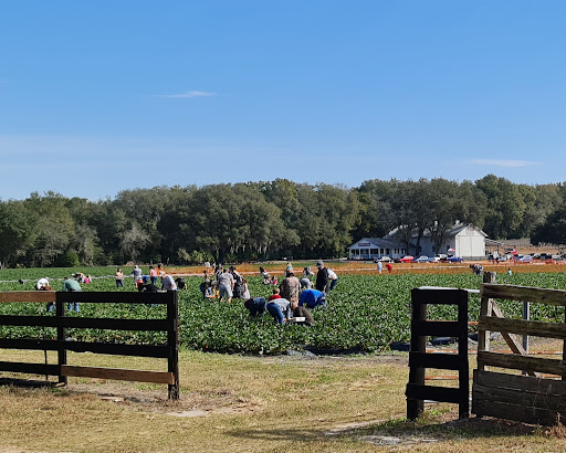 Farm «Oak Haven Farms», reviews and photos, 32418 Avington Rd, Sorrento, FL 32776, USA