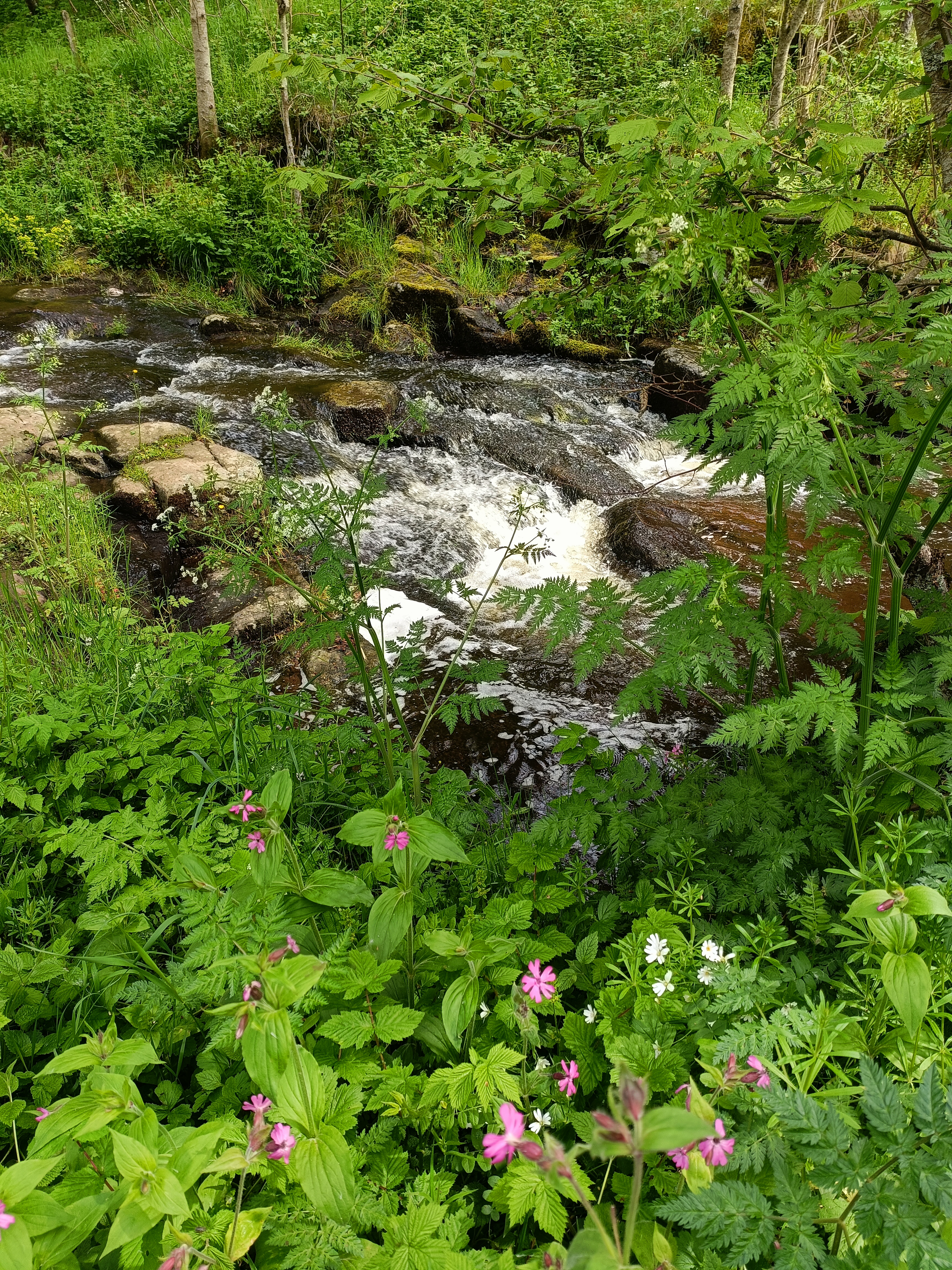 Photo n° 4 de l'avis de samol.o fait le 31/05/2023 à 17:24